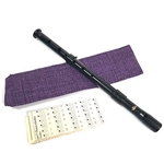 Susato Kelischek S-Series D Pennywhistle