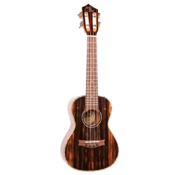 Eddy Finn Ebony Concert Ukulele